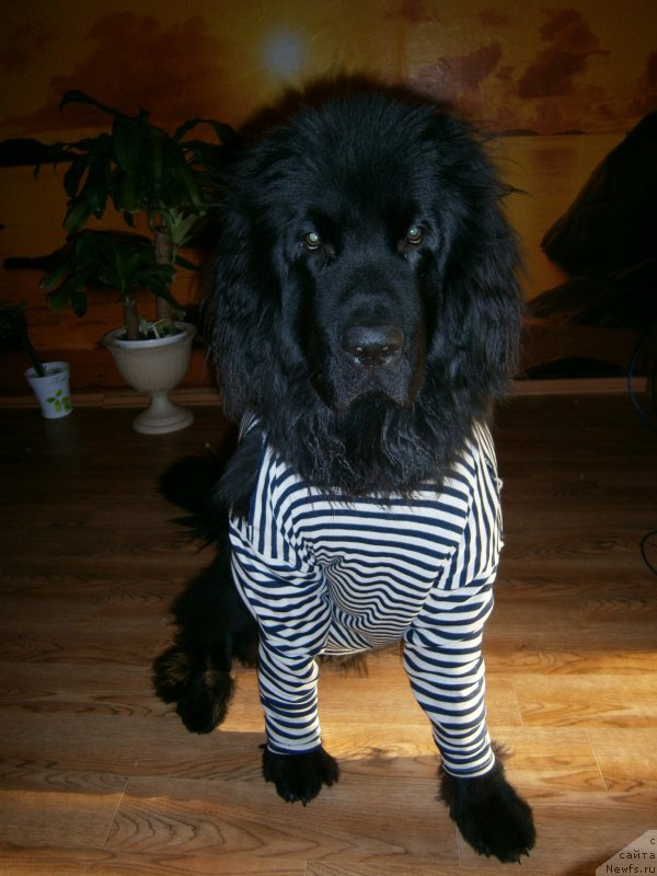 Фото: Татьяна Карпушина