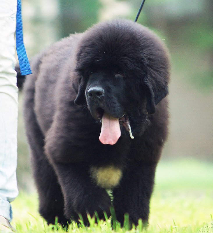 Фотография № 211577