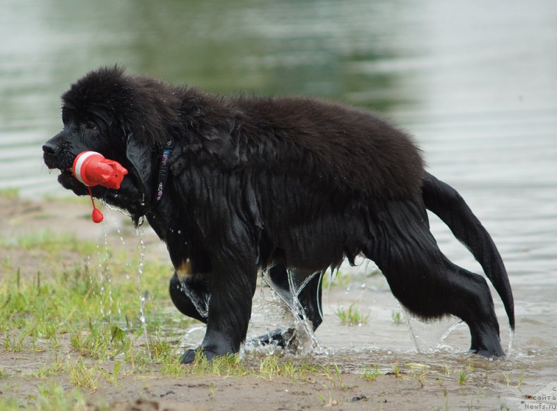 Фотография № 211578