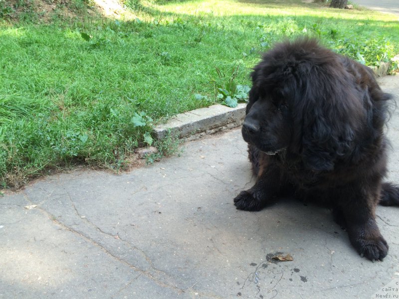 Фотография № 211597