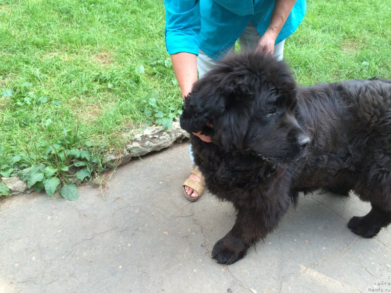 Фотография № 211600