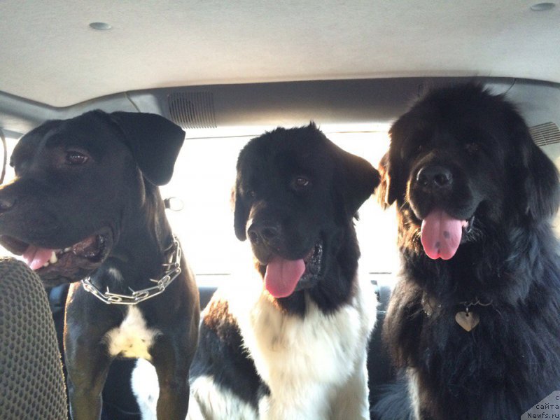 Фотография № 211605