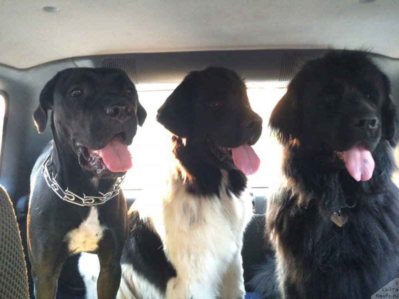 Фотография № 211606