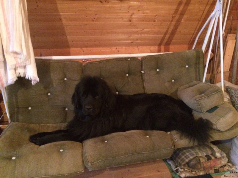 Фотография № 211608