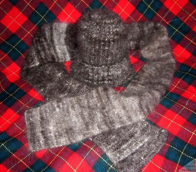 Фотография № 21166