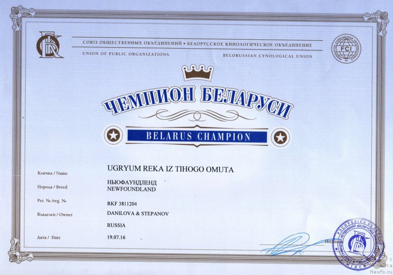 Фото: ньюфаундленд Угрюм Река Из Тихого Омута (Ugryum Reka iz Tihogo Omuta)