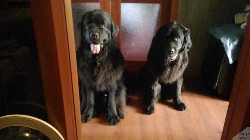 Фотография № 211731