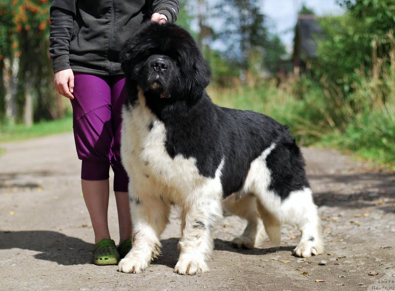 Фотография № 211750