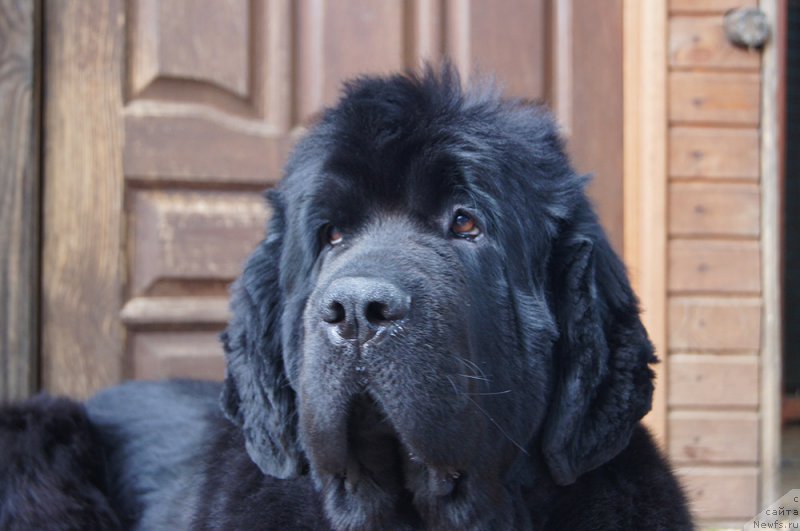 Фотография № 211752