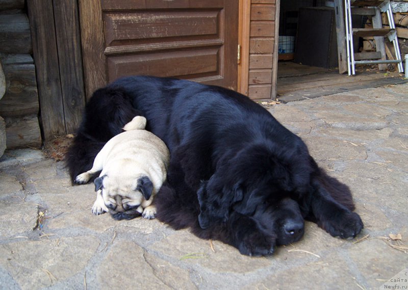 Фотография № 211754