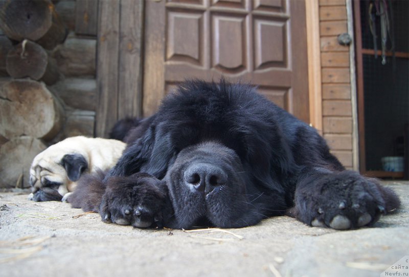 Фотография № 211755