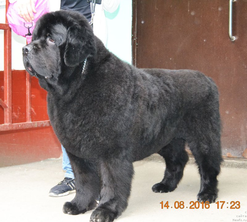 Фотография № 211783