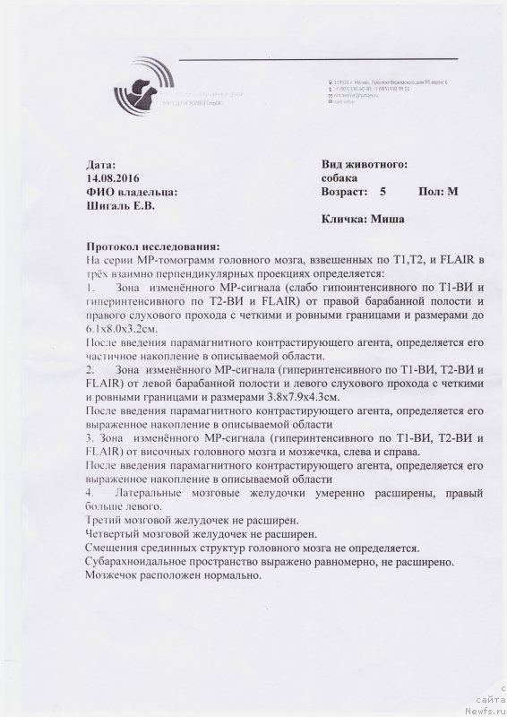 Фотография № 211786