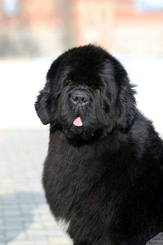 Фотография № 211832