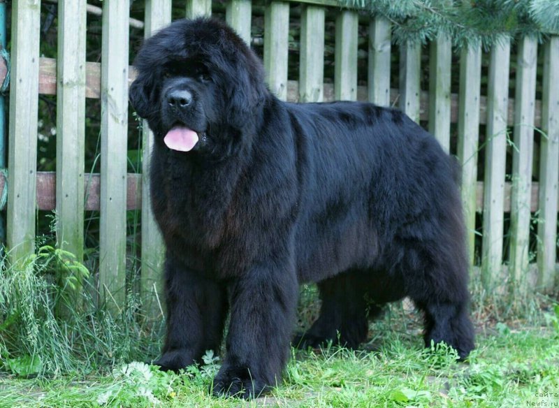 Фотография № 211833