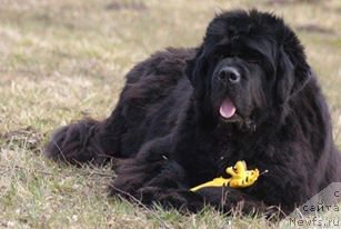 Фотография № 211836