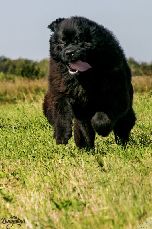 Фотография № 211876