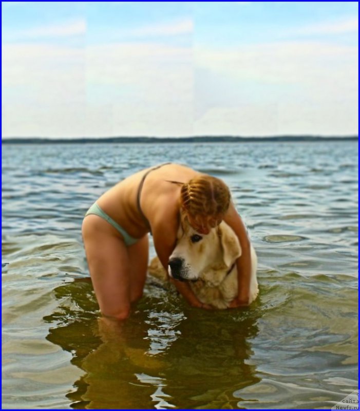 Фотография № 211900