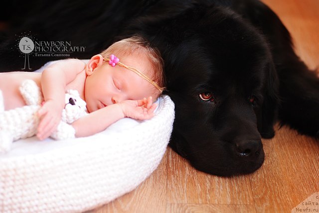 Фотография № 211914