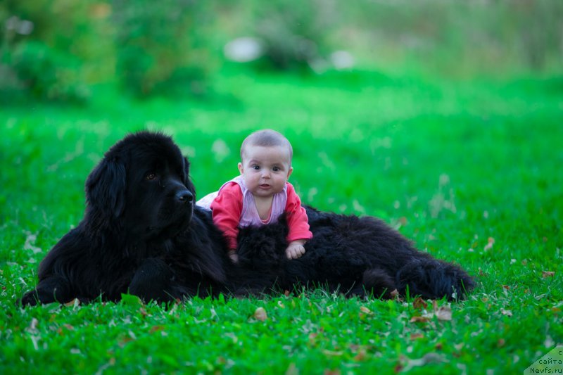 Фотография № 211916