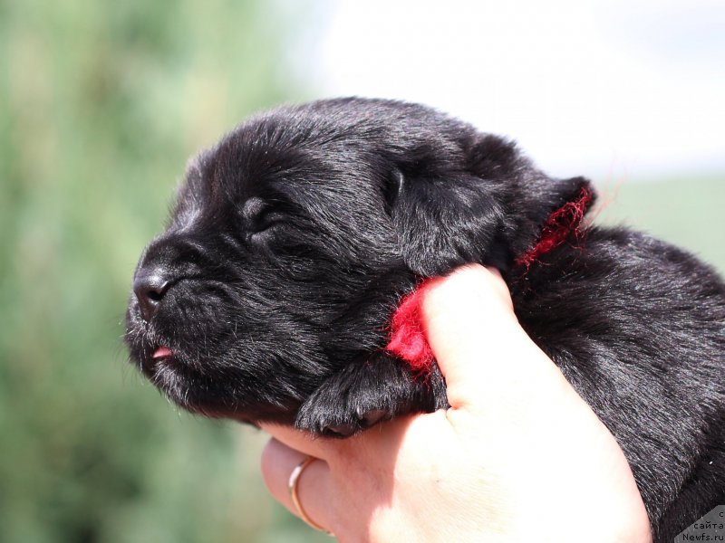 Фото: Виктор Хрищанович