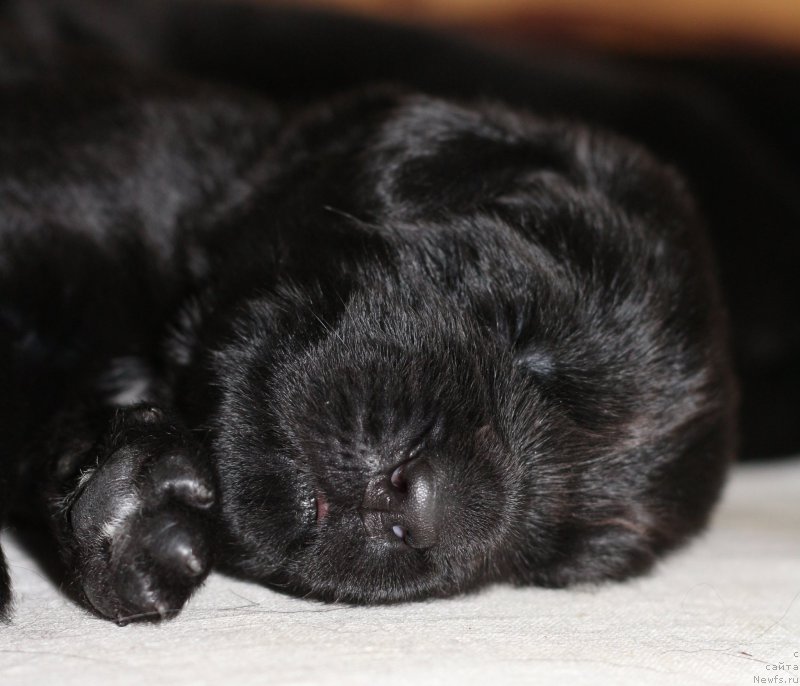 Фотография № 211920