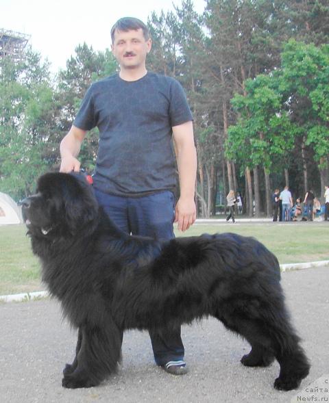 Фото: [p546]Повх Виктор и Super Premium Bumer