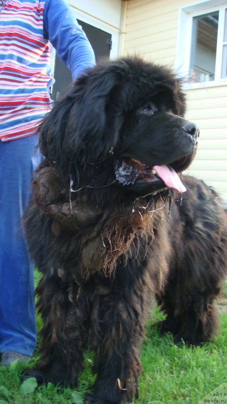 Фотография № 211940