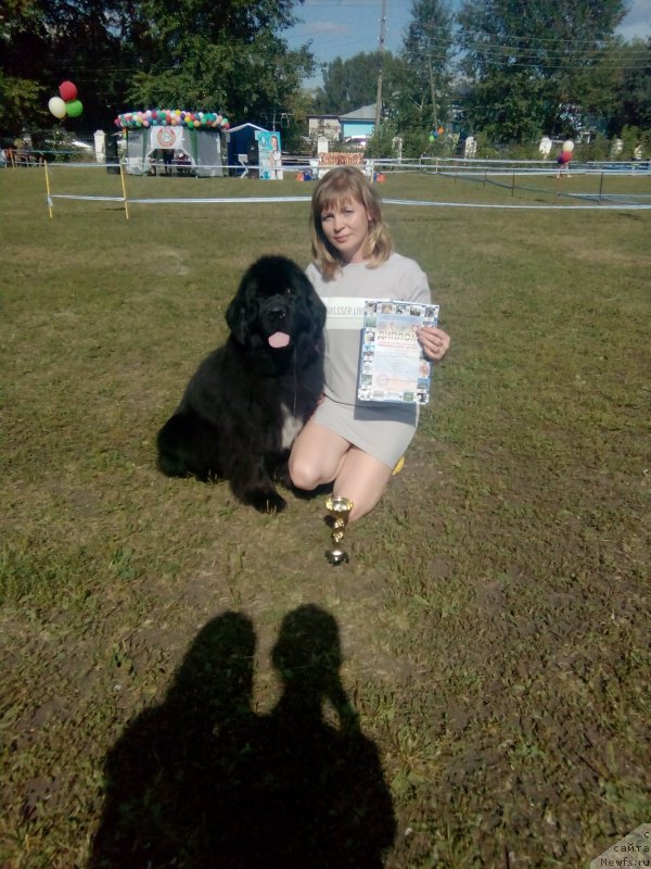 Фотография № 211997