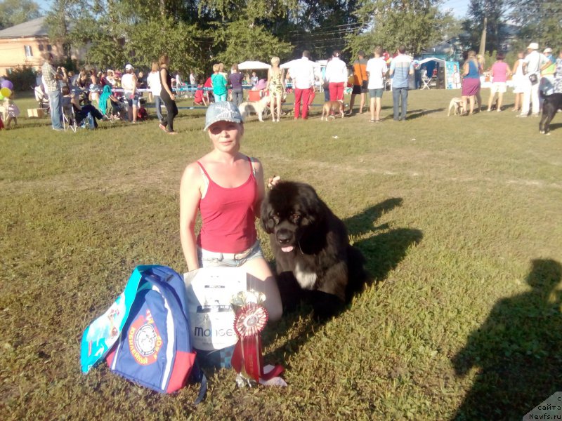 Фотография № 211998