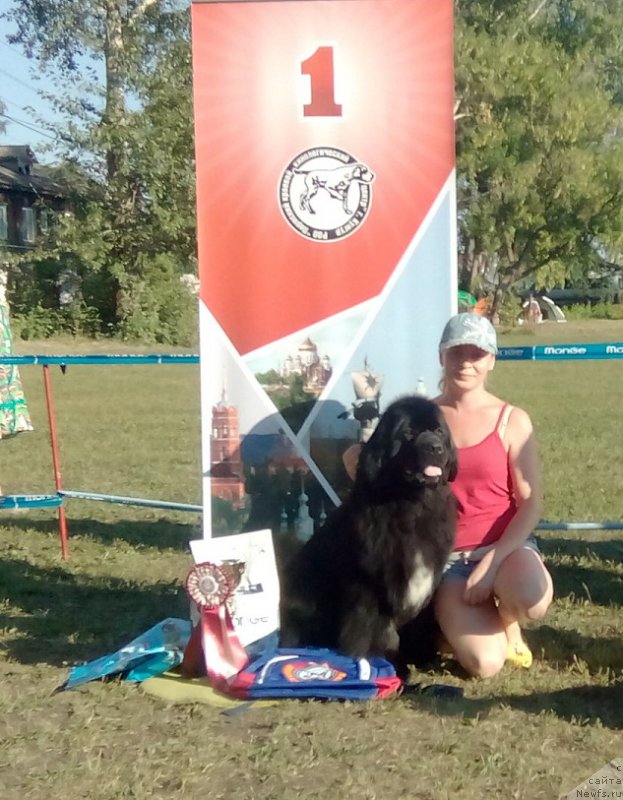 Фотография № 212000