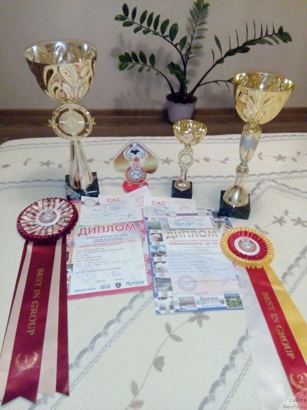 Фотография № 212005