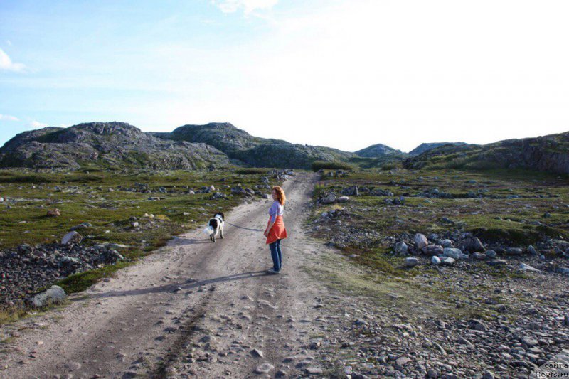 Фото: ньюфаундленд Беринг от Карельских Медведей