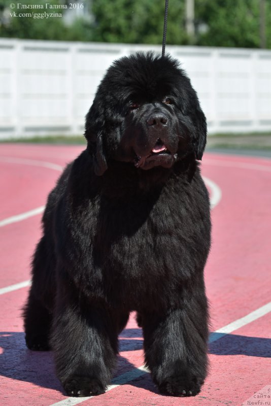 Фотография № 212034