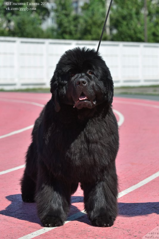 Фотография № 212035