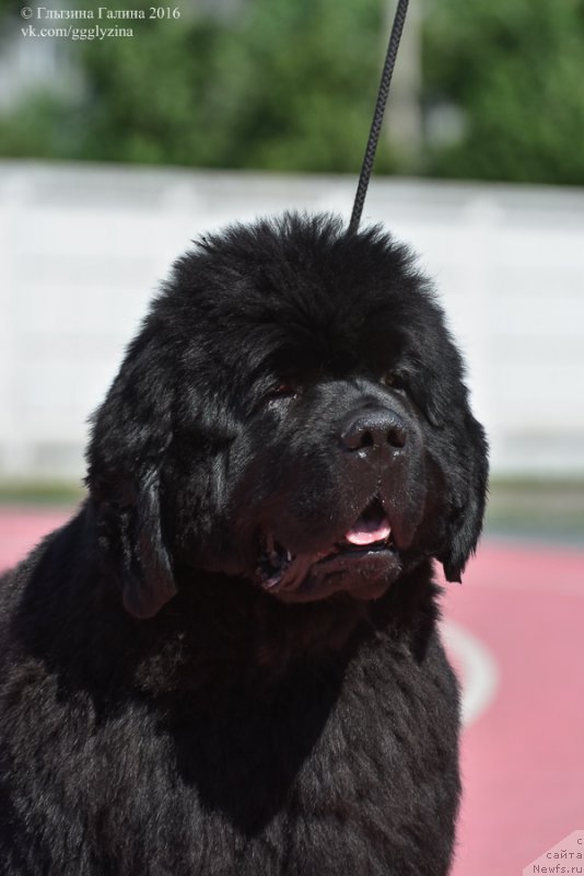 Фотография № 212038