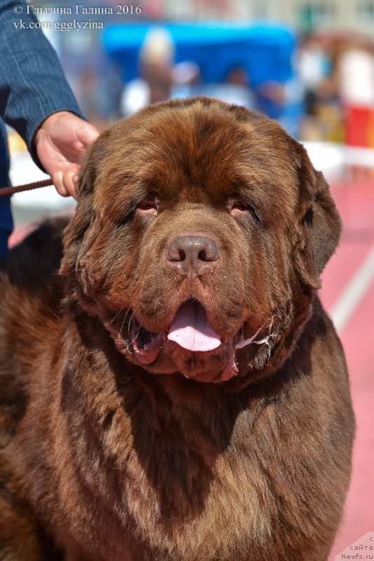 Фотография № 212043