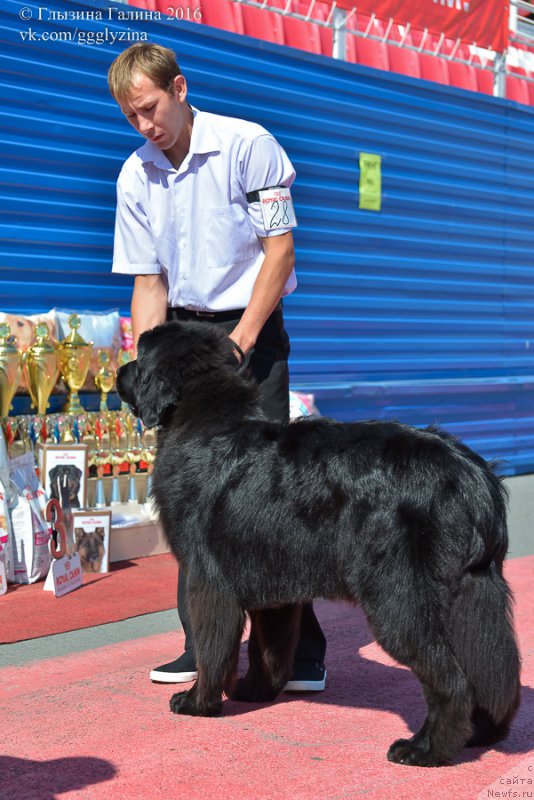 Фотография № 212053