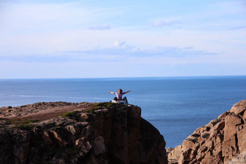 Фото: ньюфаундленд Бенджамин от Карельских Медведей