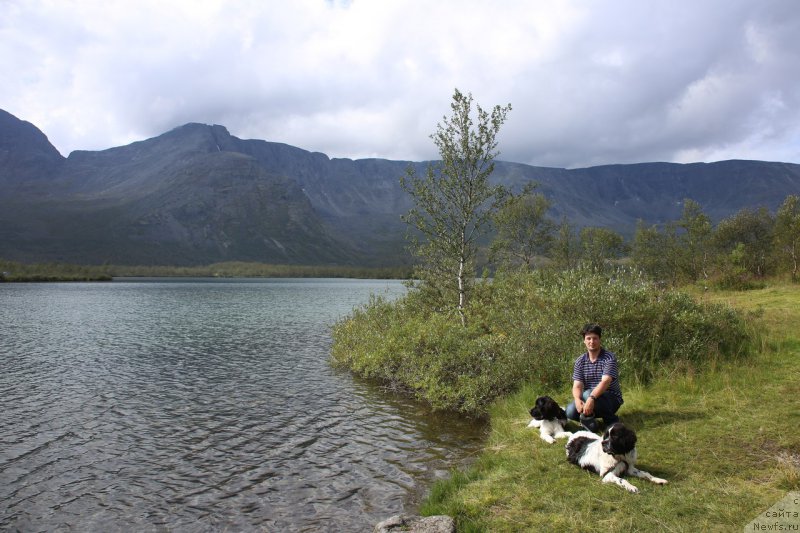 Фото: ньюфаундленд Беринг от Карельских Медведей