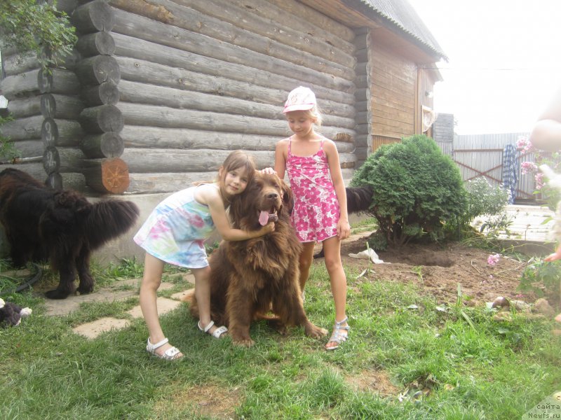 Фото: Наталья Смазчикова