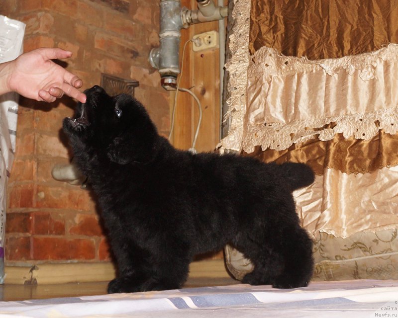 Фотография № 212096