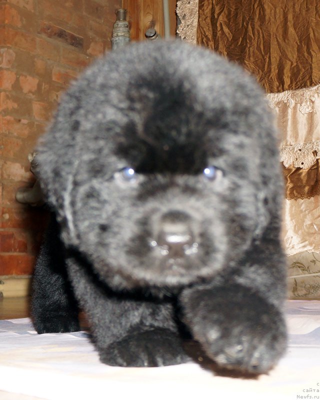 Фотография № 212098