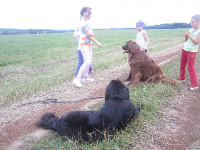 Фотография № 212102