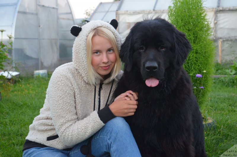 Фотография № 212114