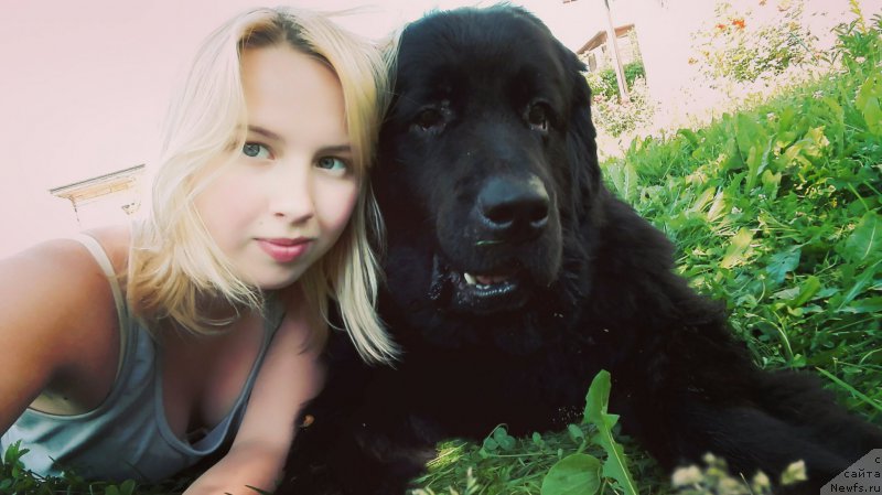 Фото: ньюфаундленд Черный Балу Захар