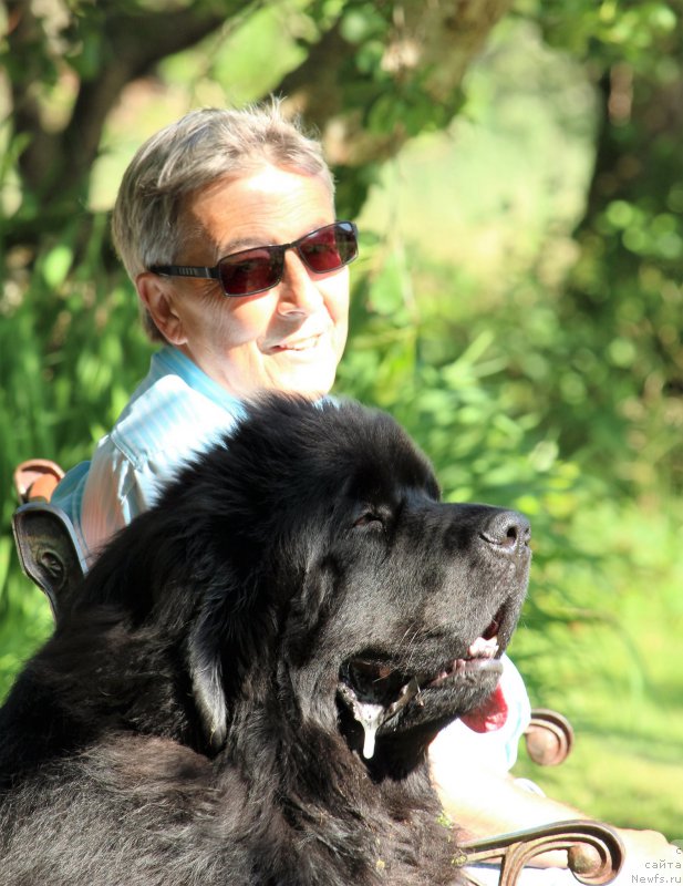 Фото: ньюфаундленд Акватория Келвин Ю Мэйк Май Дрим