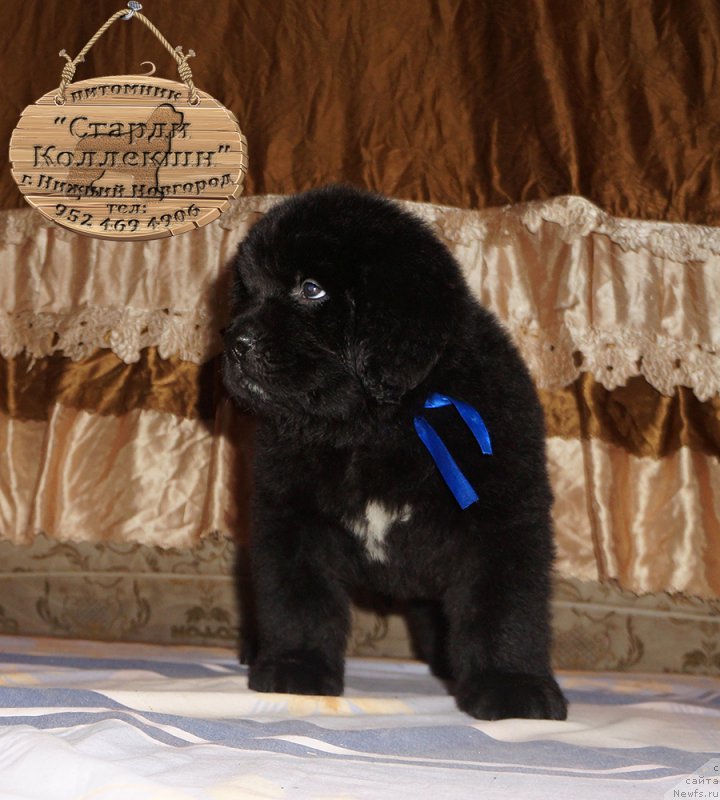 Фотография № 212166