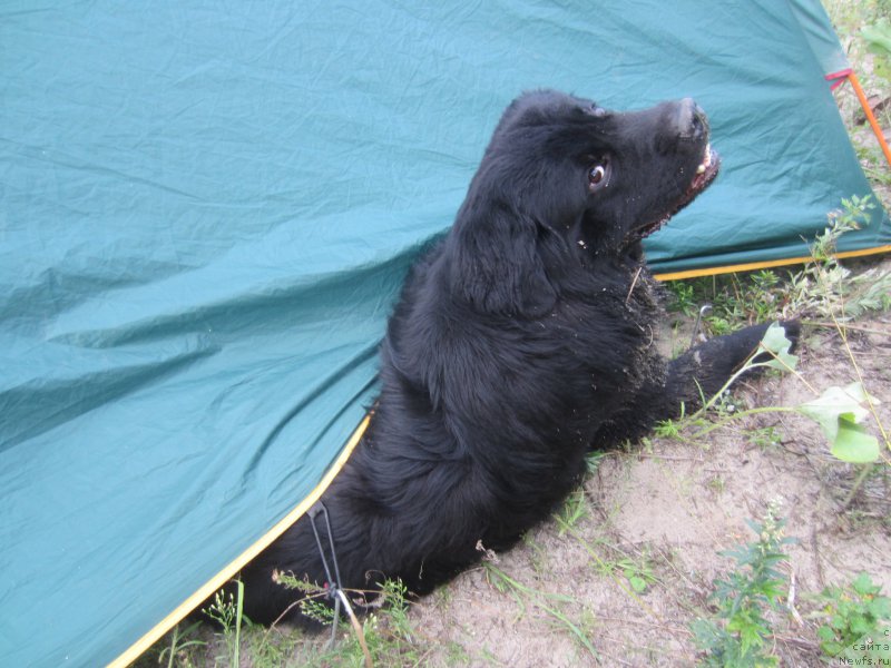 Фотография № 212179