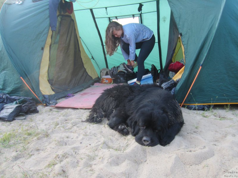 Фотография № 212180